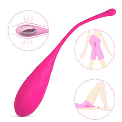 S009  Amazon Hot Sale 6pcs Silicone Vagina Women Kegel Exercises Ball Sex Toys Vibrating Kegel Ball