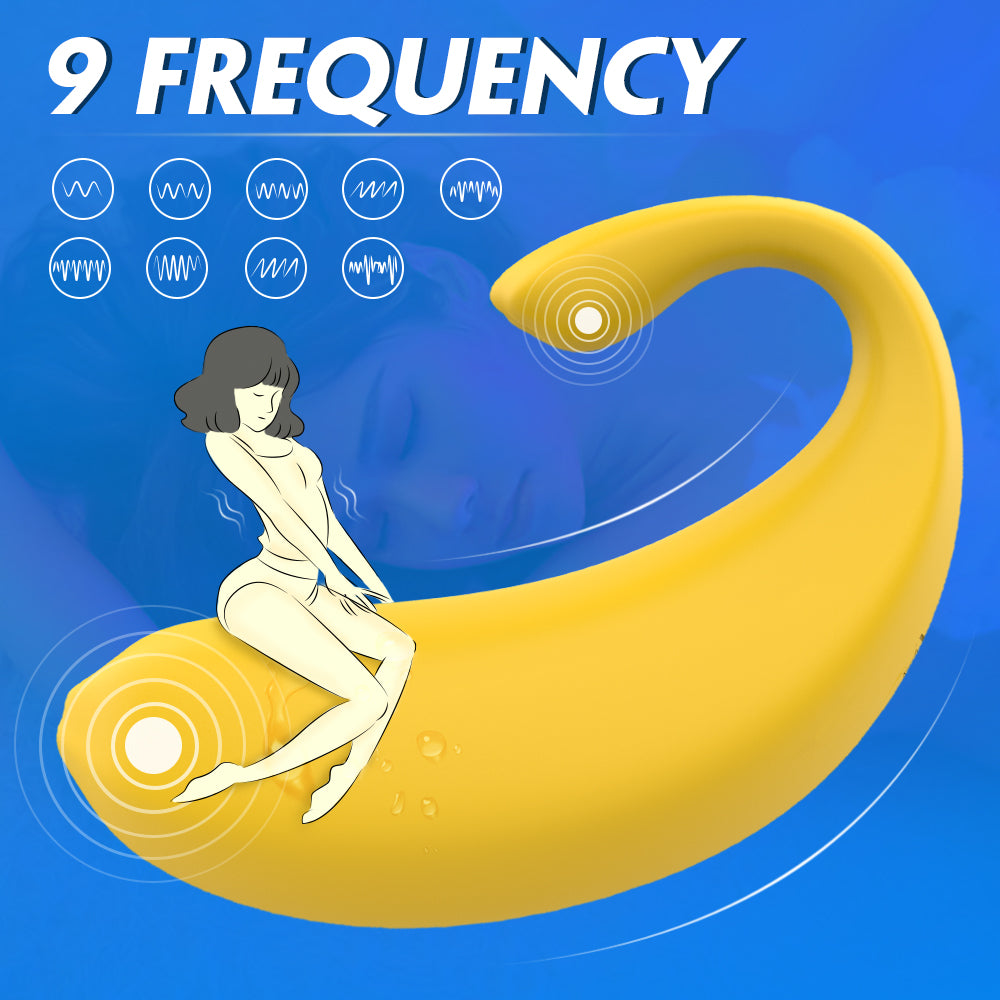 S219-2  rechargeable wireless female vagina g spot clitoris massager vibrator machine wholesale remote new sex toys vibrator